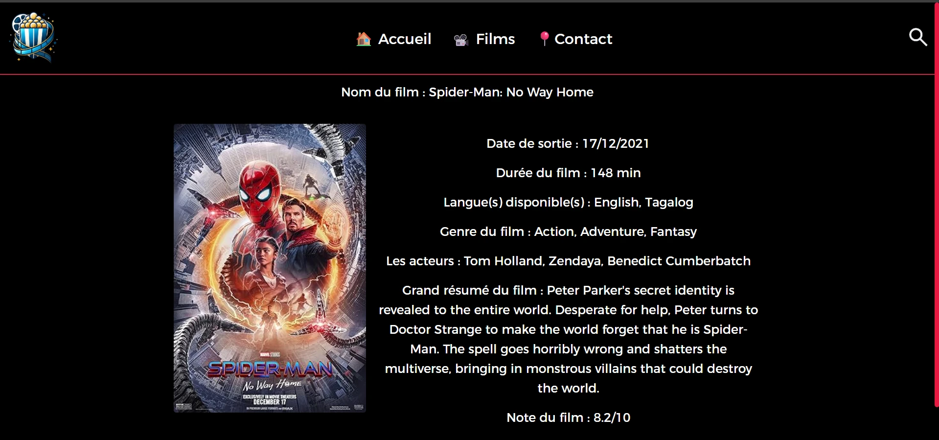 Page de détails d'un film avec synopsis et casting